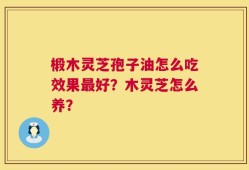 椴木灵芝孢子油怎么吃效果最好？木灵芝怎么养？