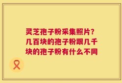 灵芝孢子粉采集照片？几百块的孢子粉跟几千块的孢子粉有什么不同