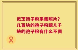 灵芝孢子粉采集照片？几百块的孢子粉跟几千块的孢子粉有什么不同