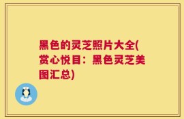 黑色的灵芝照片大全(赏心悦目：黑色灵芝美图汇总)