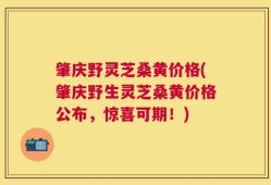 肇庆野灵芝桑黄价格(肇庆野生灵芝桑黄价格公布，惊喜可期！)