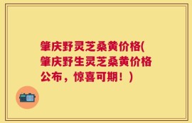 肇庆野灵芝桑黄价格(肇庆野生灵芝桑黄价格公布，惊喜可期！)