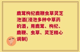 鹿茸枸杞鹿鞭虫草灵芝泡酒(浸泡多种中草药的酒，用鹿茸、枸杞、鹿鞭、虫草、灵芝精心调制)