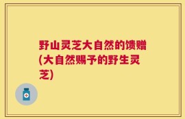 野山灵芝大自然的馈赠(大自然赐予的野生灵芝)