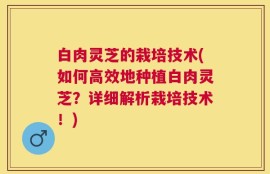 白肉灵芝的栽培技术(如何高效地种植白肉灵芝？详细解析栽培技术！)