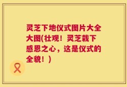 灵芝下地仪式图片大全大图(壮观！灵芝栽下感恩之心，这是仪式的全貌！)