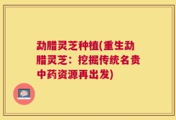 勐腊灵芝种植(重生勐腊灵芝：挖掘传统名贵中药资源再出发)