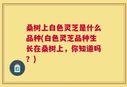 桑树上白色灵芝是什么品种(白色灵芝品种生长在桑树上，你知道吗？)
