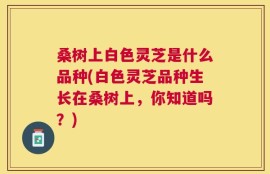 桑树上白色灵芝是什么品种(白色灵芝品种生长在桑树上，你知道吗？)