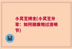 小灵芝博主(小灵芝分享：如何健康地过清明节)