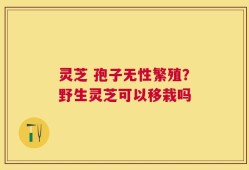 灵芝 孢子无性繁殖？野生灵芝可以移栽吗