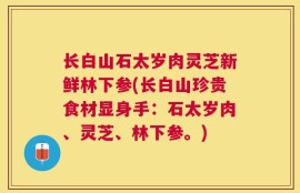 长白山石太岁肉灵芝新鲜林下参(长白山珍贵食材显身手：石太岁肉、灵芝、林下参。)