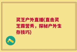 灵芝户外直播(直击灵芝露营秀，探秘户外生存技巧)