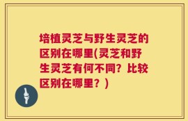 培植灵芝与野生灵芝的区别在哪里(灵芝和野生灵芝有何不同？比较区别在哪里？)