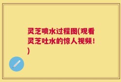灵芝喷水过程图(观看灵芝吐水的惊人视频！)