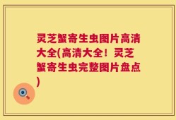 灵芝蟹寄生虫图片高清大全(高清大全！灵芝蟹寄生虫完整图片盘点)