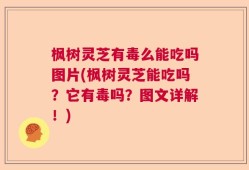 枫树灵芝有毒么能吃吗图片(枫树灵芝能吃吗？它有毒吗？图文详解！)