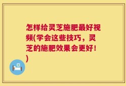 怎样给灵芝施肥最好视频(学会这些技巧，灵芝的施肥效果会更好！)