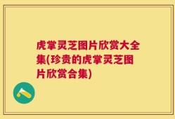 虎掌灵芝图片欣赏大全集(珍贵的虎掌灵芝图片欣赏合集)