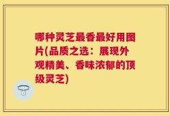 哪种灵芝最香最好用图片(品质之选：展现外观精美、香味浓郁的顶级灵芝)