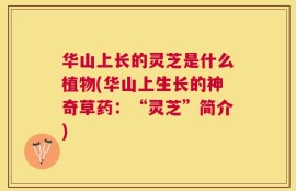 华山上长的灵芝是什么植物(华山上生长的神奇草药：“灵芝”简介)