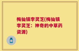 梅仙镇李灵芝(梅仙镇李灵芝：神奇的中草药资源)