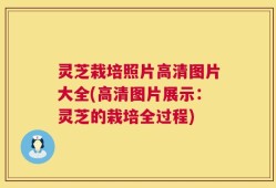 灵芝栽培照片高清图片大全(高清图片展示：灵芝的栽培全过程)