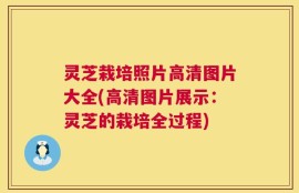 灵芝栽培照片高清图片大全(高清图片展示：灵芝的栽培全过程)