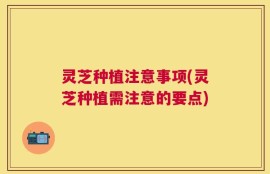 灵芝种植注意事项(灵芝种植需注意的要点)