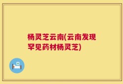 杨灵芝云南(云南发现罕见药材杨灵芝)