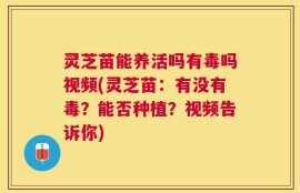 灵芝苗能养活吗有毒吗视频(灵芝苗：有没有毒？能否种植？视频告诉你)