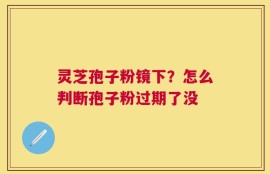 灵芝孢子粉镜下？怎么判断孢子粉过期了没
