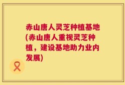 赤山唐人灵芝种植基地(赤山唐人重视灵芝种植，建设基地助力业内发展)