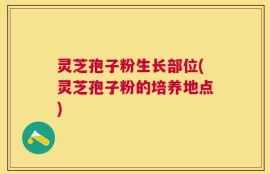 灵芝孢子粉生长部位(灵芝孢子粉的培养地点)