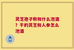灵芝孢子粉和什么泡酒？干的灵芝和人参怎么泡酒