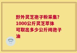 野外灵芝孢子粉采集？1000公斤灵芝萃体可取出多少公斤纯孢子油