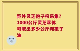 野外灵芝孢子粉采集？1000公斤灵芝萃体可取出多少公斤纯孢子油