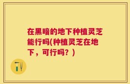 在黑暗的地下种植灵芝能行吗(种植灵芝在地下，可行吗？)