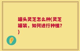 罐头灵芝怎么种(灵芝罐装，如何进行种植？)