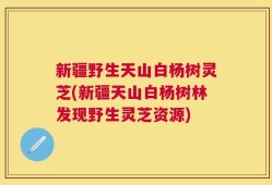 新疆野生天山白杨树灵芝(新疆天山白杨树林发现野生灵芝资源)