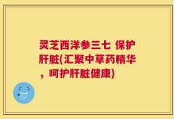 灵芝西洋参三七 保护肝脏(汇聚中草药精华，呵护肝脏健康)