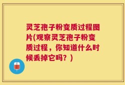 灵芝孢子粉变质过程图片(观察灵芝孢子粉变质过程，你知道什么时候丢掉它吗？)