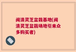 闽清灵芝盆栽基地(闽清灵芝盆栽场地引来众多购买者)