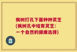 枫树打孔下菌种种灵芝(枫树孔中培育灵芝：一个自然的健康选择)