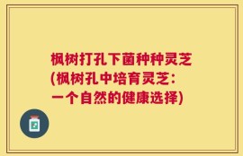枫树打孔下菌种种灵芝(枫树孔中培育灵芝：一个自然的健康选择)