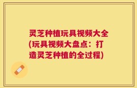 灵芝种植玩具视频大全(玩具视频大盘点：打造灵芝种植的全过程)