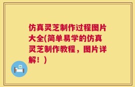 仿真灵芝制作过程图片大全(简单易学的仿真灵芝制作教程，图片详解！)