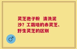 灵芝孢子粉  清洗泥沙？工栽培的赤灵芝、野生灵芝的区别