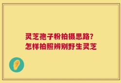 灵芝孢子粉拍摄思路？怎样拍照辨别野生灵芝