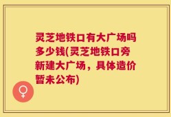 灵芝地铁口有大广场吗多少钱(灵芝地铁口旁新建大广场，具体造价暂未公布)